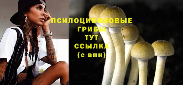 твердый Новосибирск