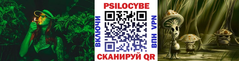 Псилоцибиновые грибы мицелий  цена   Краснозаводск 